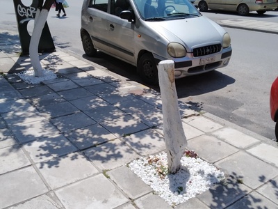 Εκρίζωση κορμού