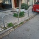 Ξερίζωμα χόρτων στο πεζοδρόμιο