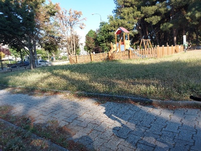 Χορτα