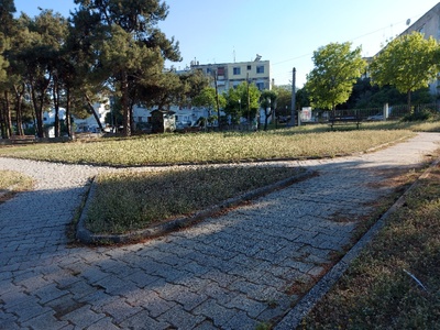 Χορτα