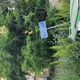 Καθαρισμος δημοτικου οικοπεδου
