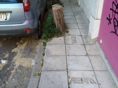 Εκρίζωση κορμού
