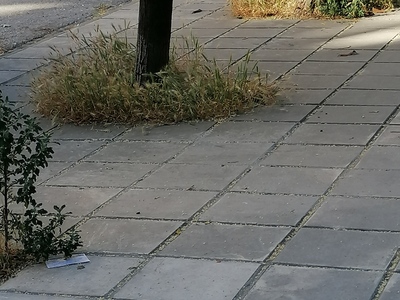 ΚΑΘΑΡΙΣΜΟΣ ΠΑΡΤΕΡΙΩΝ