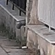 Υδρορροη