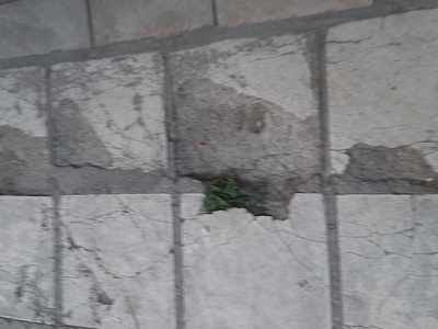 Πεζοδρόμια 