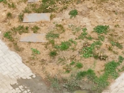 ΔΙΑΡΡΟΗ ΝΕΡΟΥ ΣΤΟ ΠΑΡΚΟ ΛΙΑΝΙΔΗ ΔΕΛΗΓΙΑΝΝΙΔΗ