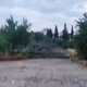 Πεσμενο δέντρο από τον αέρα