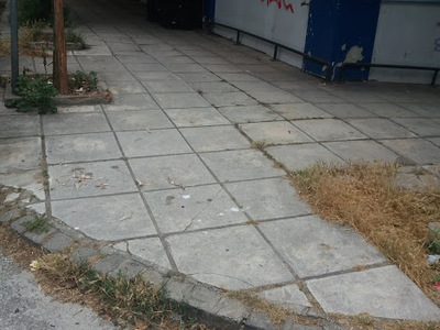 ΔΕΝΔΡΟΦΥΤΕΥΣΗ