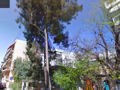 ΕΠΙΚΙΝΔΥΝΟ ΔΕΝΤΡΟ 